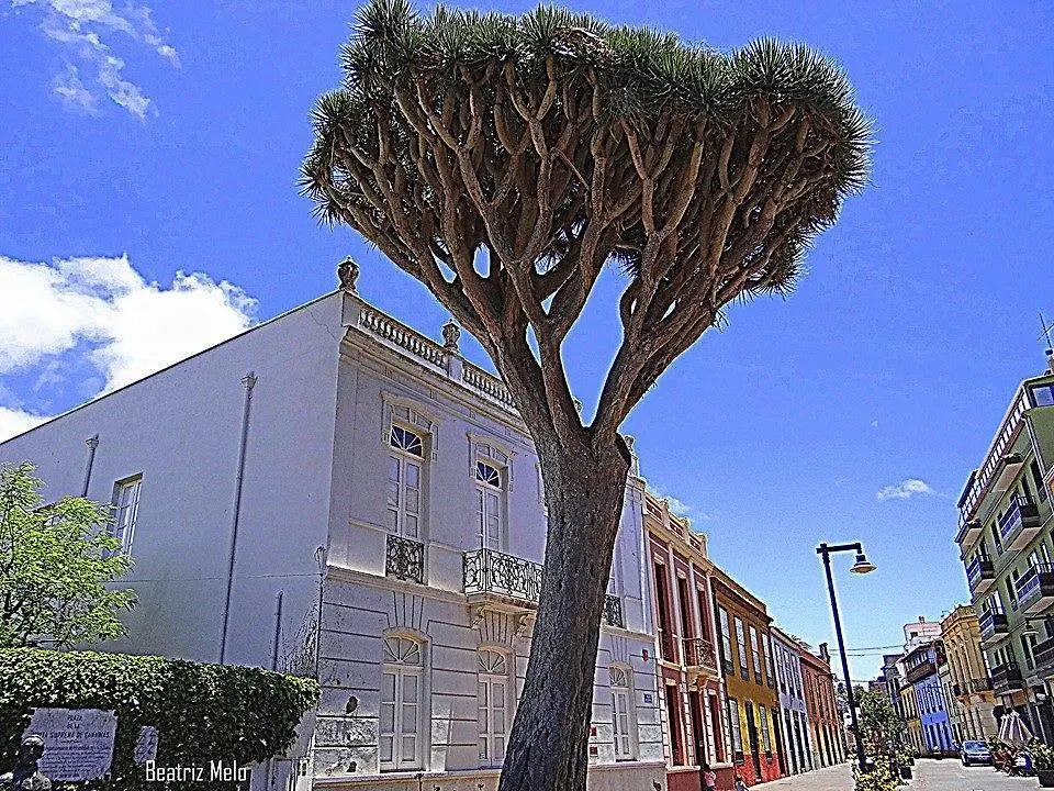 Apartamento Belén La Laguna  España
